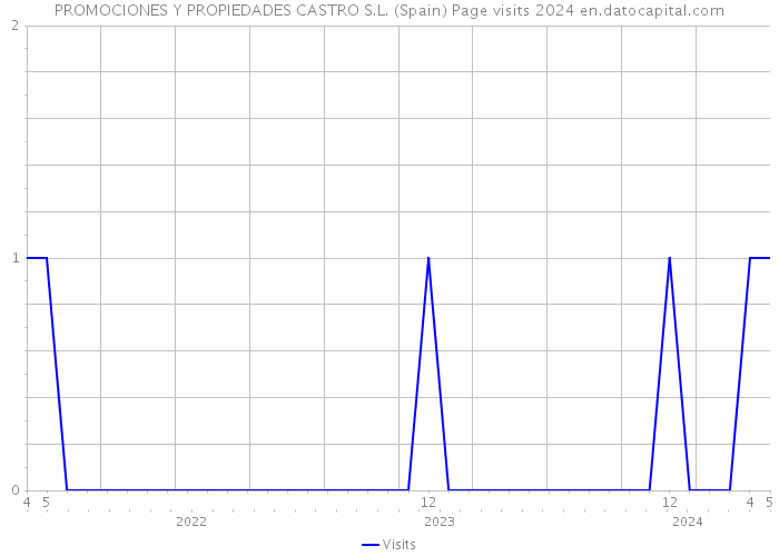 PROMOCIONES Y PROPIEDADES CASTRO S.L. (Spain) Page visits 2024 