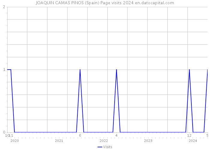 JOAQUIN CAMAS PINOS (Spain) Page visits 2024 