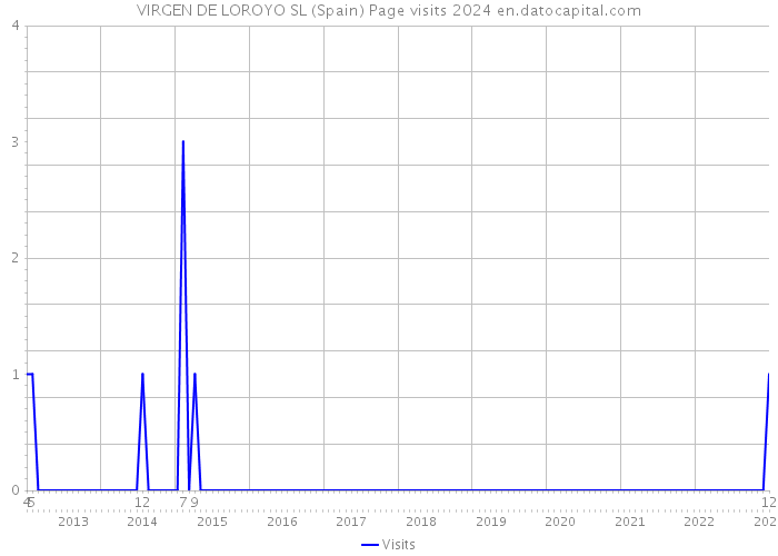 VIRGEN DE LOROYO SL (Spain) Page visits 2024 