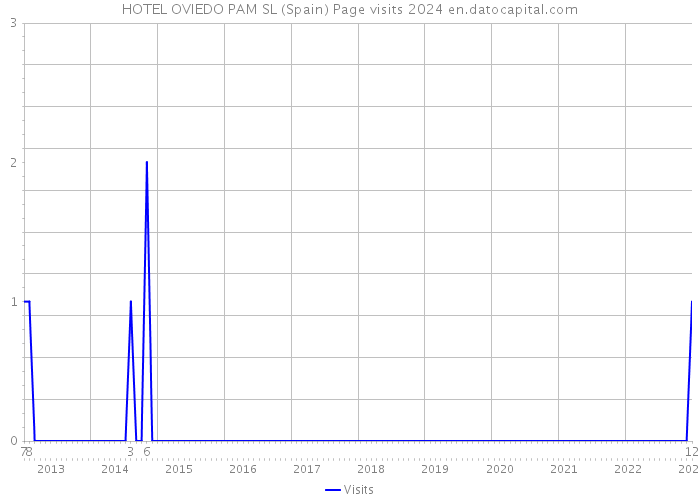 HOTEL OVIEDO PAM SL (Spain) Page visits 2024 