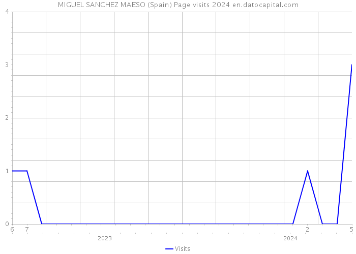 MIGUEL SANCHEZ MAESO (Spain) Page visits 2024 