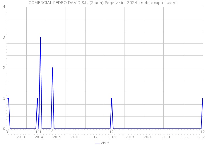 COMERCIAL PEDRO DAVID S.L. (Spain) Page visits 2024 