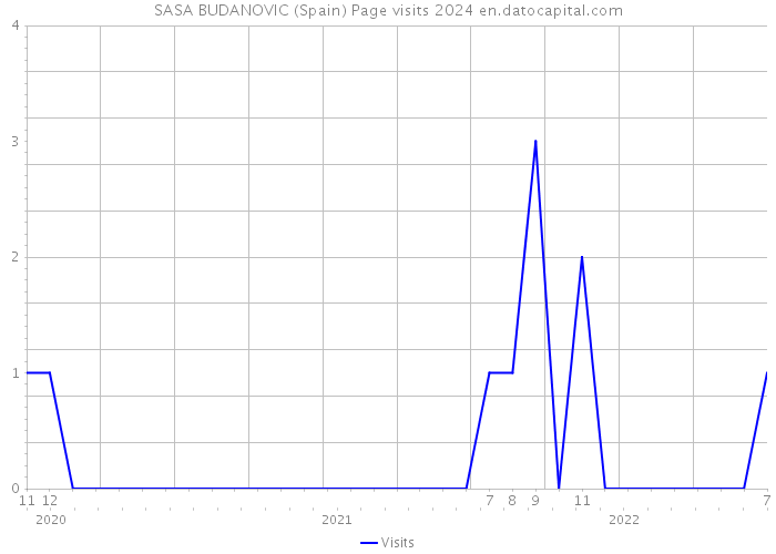 SASA BUDANOVIC (Spain) Page visits 2024 