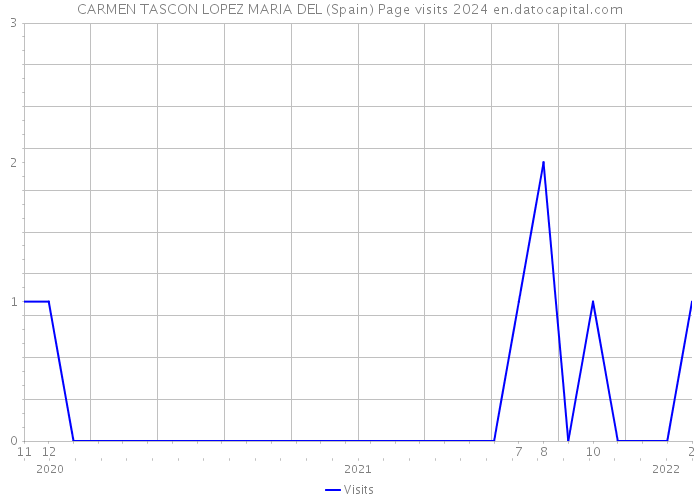 CARMEN TASCON LOPEZ MARIA DEL (Spain) Page visits 2024 