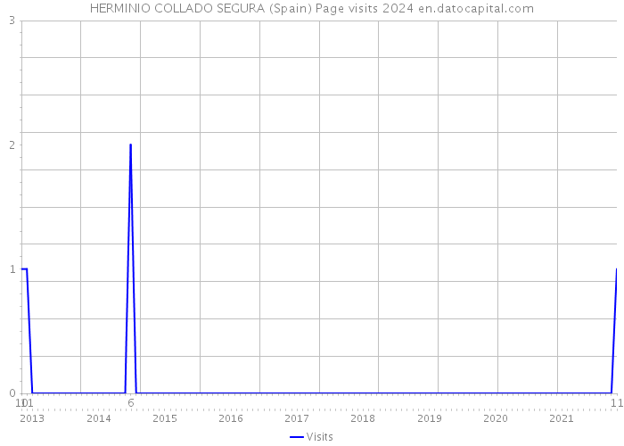 HERMINIO COLLADO SEGURA (Spain) Page visits 2024 