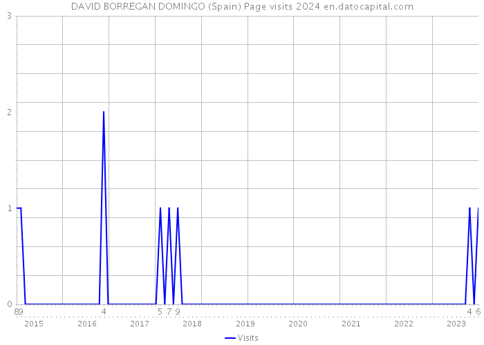 DAVID BORREGAN DOMINGO (Spain) Page visits 2024 