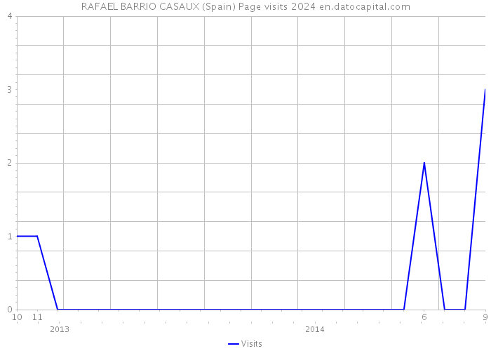 RAFAEL BARRIO CASAUX (Spain) Page visits 2024 