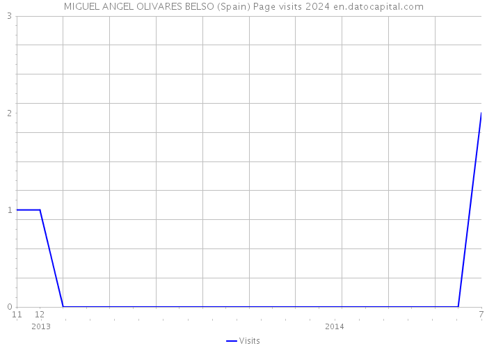 MIGUEL ANGEL OLIVARES BELSO (Spain) Page visits 2024 