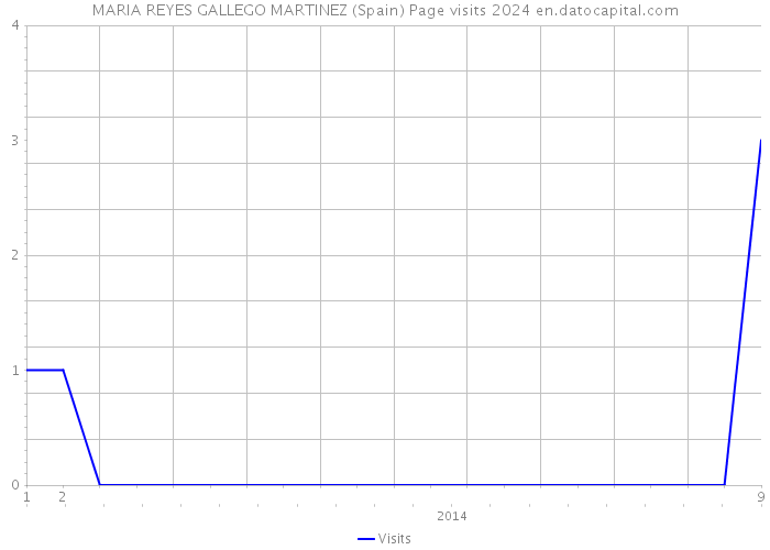MARIA REYES GALLEGO MARTINEZ (Spain) Page visits 2024 