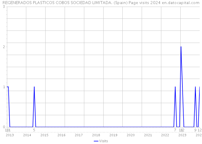 REGENERADOS PLASTICOS COBOS SOCIEDAD LIMITADA. (Spain) Page visits 2024 
