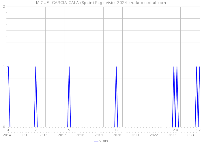 MIGUEL GARCIA CALA (Spain) Page visits 2024 
