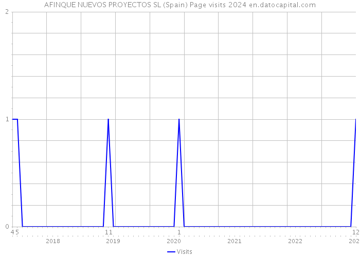 AFINQUE NUEVOS PROYECTOS SL (Spain) Page visits 2024 