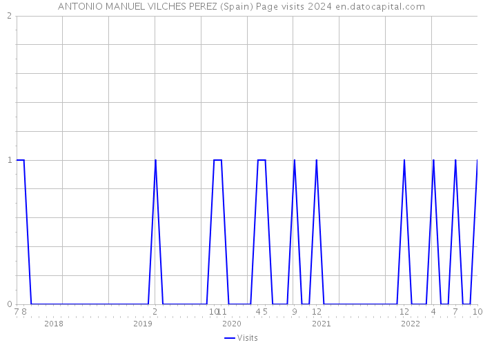 ANTONIO MANUEL VILCHES PEREZ (Spain) Page visits 2024 