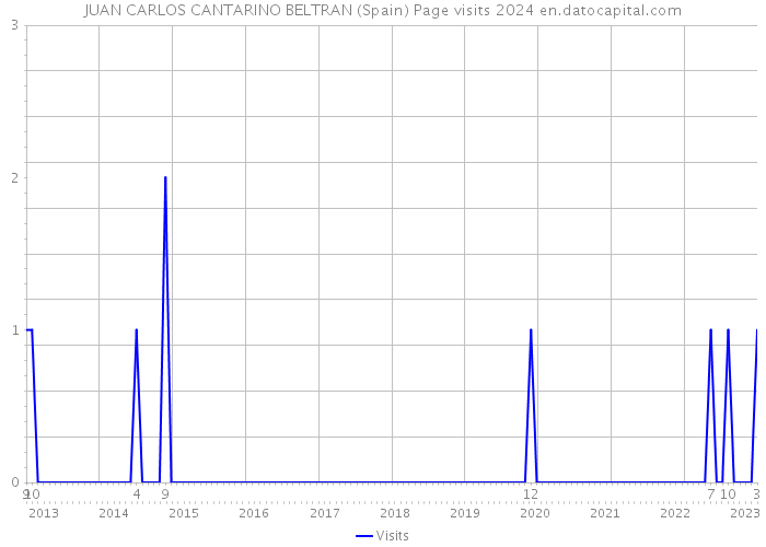JUAN CARLOS CANTARINO BELTRAN (Spain) Page visits 2024 