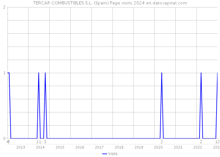 TERCAR COMBUSTIBLES S.L. (Spain) Page visits 2024 