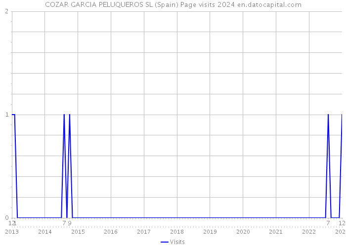 COZAR GARCIA PELUQUEROS SL (Spain) Page visits 2024 