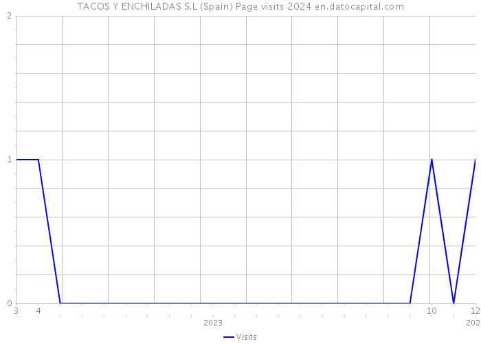 TACOS Y ENCHILADAS S.L (Spain) Page visits 2024 
