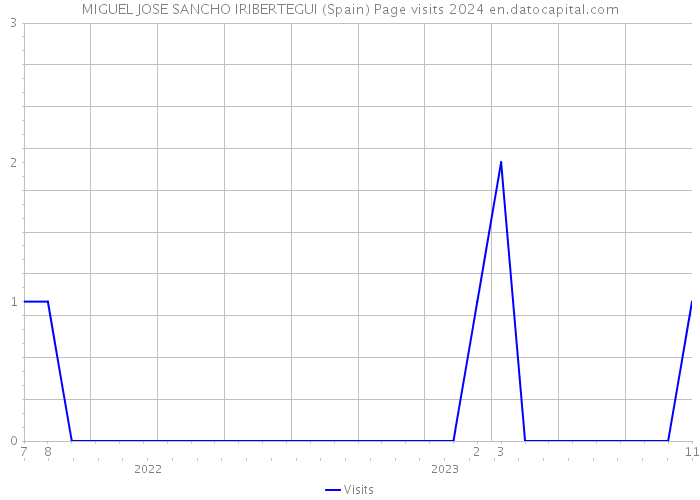 MIGUEL JOSE SANCHO IRIBERTEGUI (Spain) Page visits 2024 