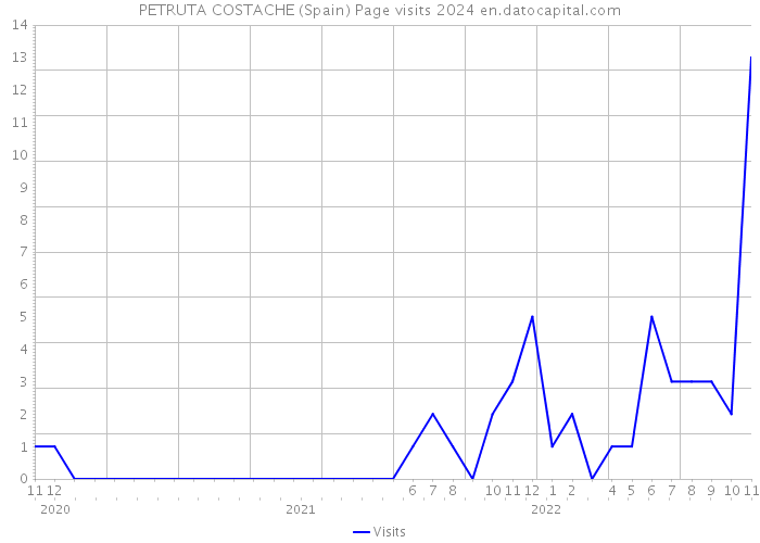 PETRUTA COSTACHE (Spain) Page visits 2024 