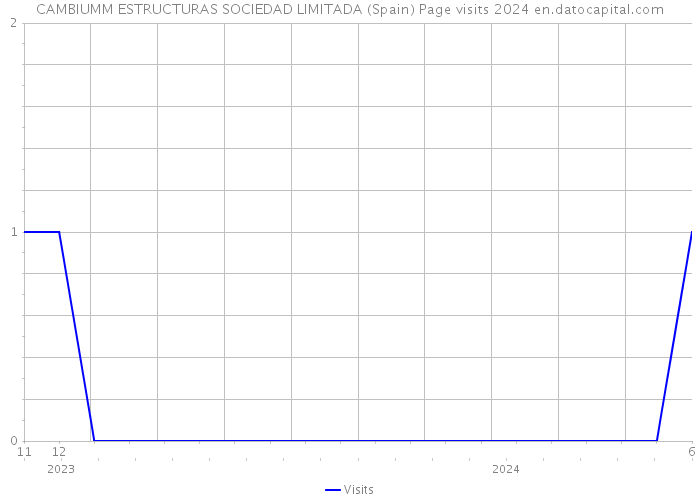 CAMBIUMM ESTRUCTURAS SOCIEDAD LIMITADA (Spain) Page visits 2024 