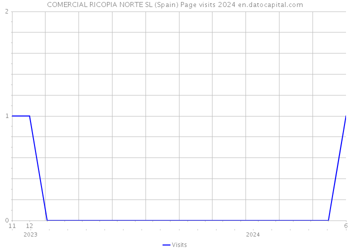 COMERCIAL RICOPIA NORTE SL (Spain) Page visits 2024 
