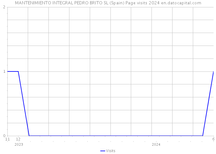 MANTENIMIENTO INTEGRAL PEDRO BRITO SL (Spain) Page visits 2024 