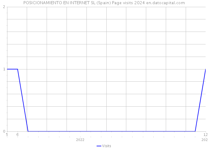 POSICIONAMIENTO EN INTERNET SL (Spain) Page visits 2024 