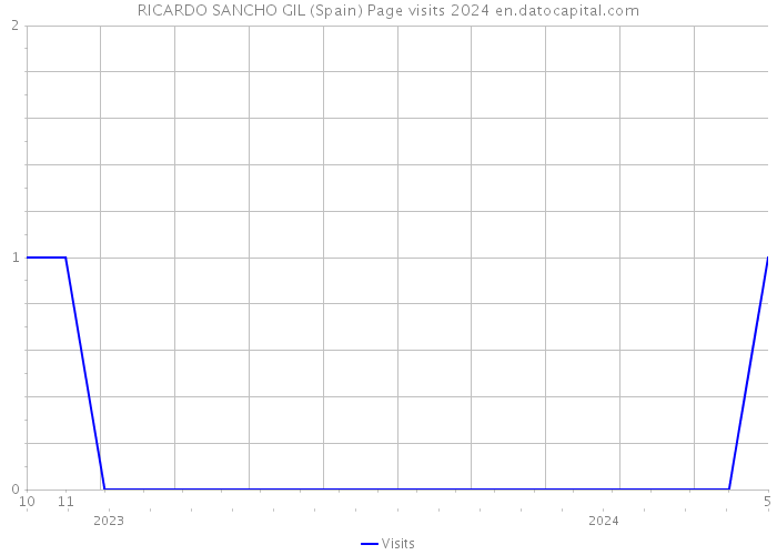 RICARDO SANCHO GIL (Spain) Page visits 2024 