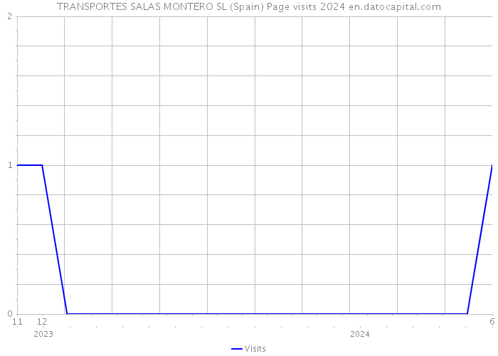 TRANSPORTES SALAS MONTERO SL (Spain) Page visits 2024 