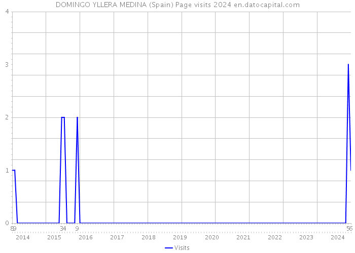 DOMINGO YLLERA MEDINA (Spain) Page visits 2024 