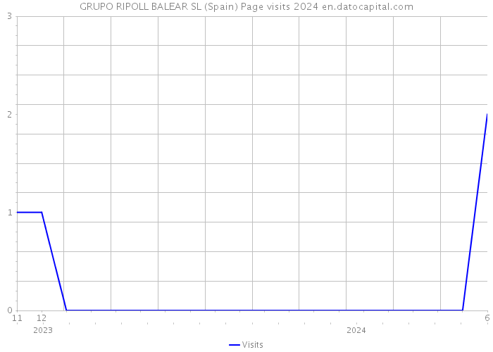 GRUPO RIPOLL BALEAR SL (Spain) Page visits 2024 