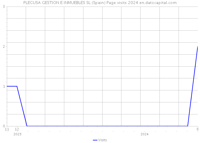 PLECUSA GESTION E INMUEBLES SL (Spain) Page visits 2024 