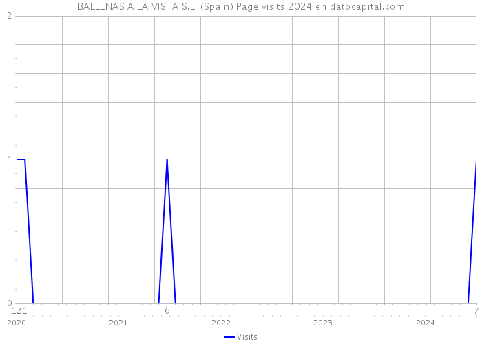 BALLENAS A LA VISTA S.L. (Spain) Page visits 2024 