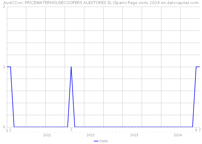 AudCCon: PRICEWATERHOUSECOOPERS AUDITORES SL (Spain) Page visits 2024 