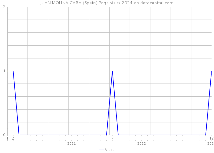 JUAN MOLINA CARA (Spain) Page visits 2024 