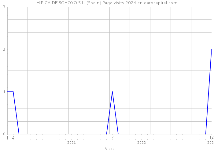 HIPICA DE BOHOYO S.L. (Spain) Page visits 2024 