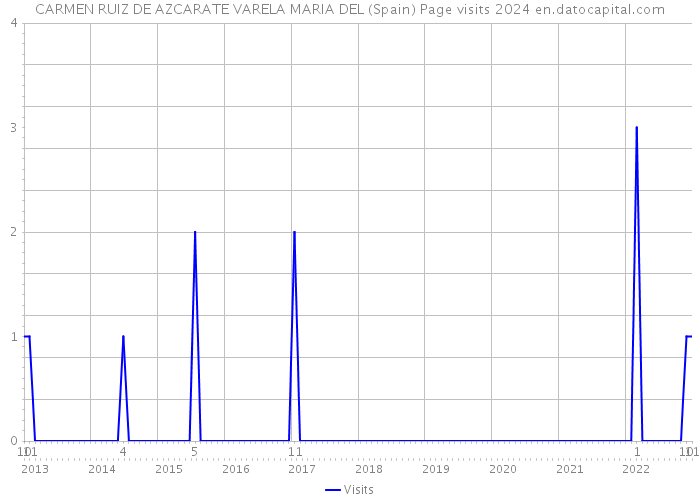 CARMEN RUIZ DE AZCARATE VARELA MARIA DEL (Spain) Page visits 2024 