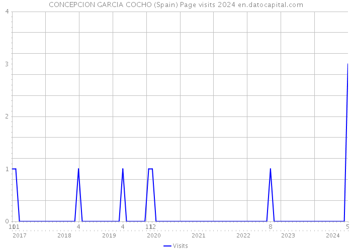 CONCEPCION GARCIA COCHO (Spain) Page visits 2024 