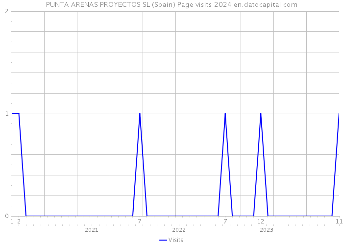 PUNTA ARENAS PROYECTOS SL (Spain) Page visits 2024 