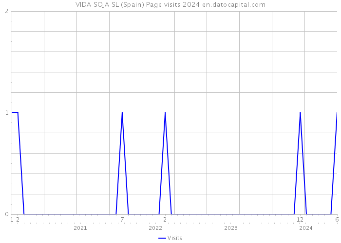 VIDA SOJA SL (Spain) Page visits 2024 