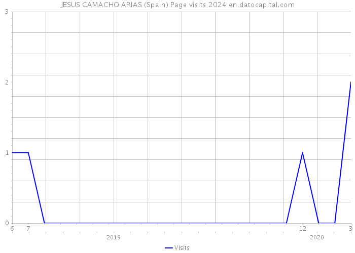 JESUS CAMACHO ARIAS (Spain) Page visits 2024 