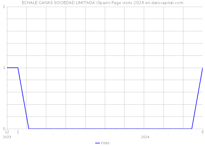 ECHALE GANAS SOCIEDAD LIMITADA (Spain) Page visits 2024 