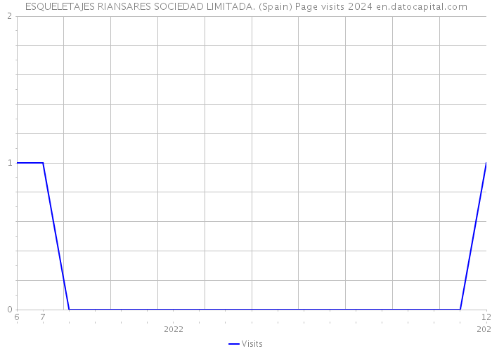 ESQUELETAJES RIANSARES SOCIEDAD LIMITADA. (Spain) Page visits 2024 