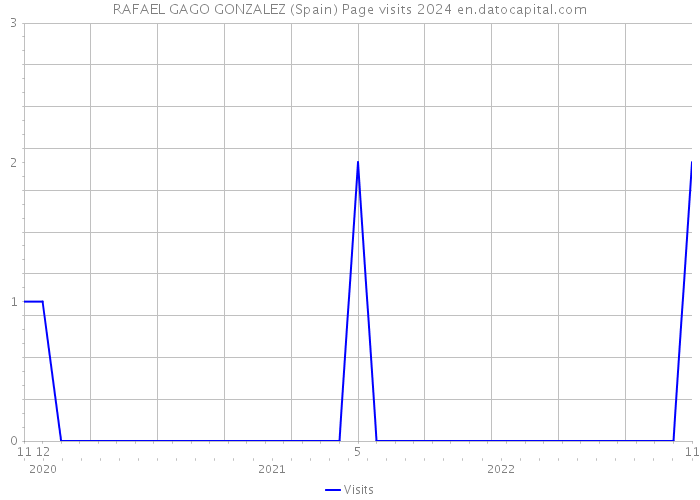 RAFAEL GAGO GONZALEZ (Spain) Page visits 2024 