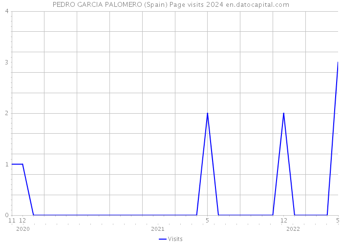 PEDRO GARCIA PALOMERO (Spain) Page visits 2024 