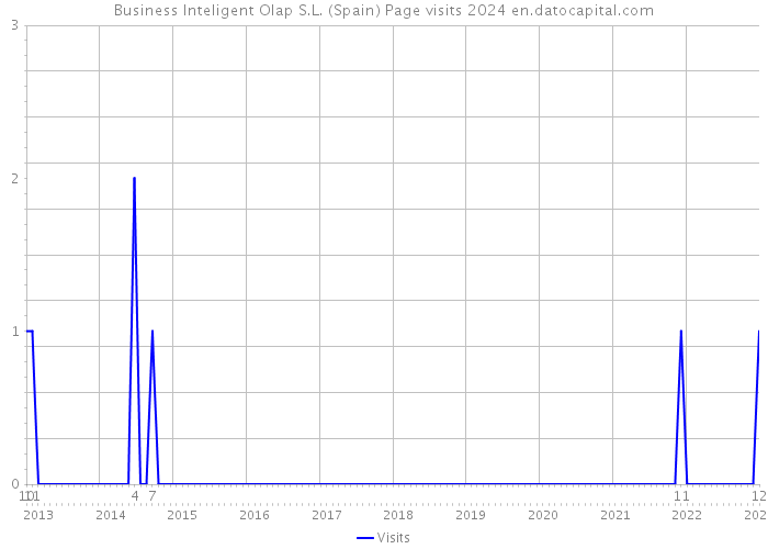 Business Inteligent Olap S.L. (Spain) Page visits 2024 