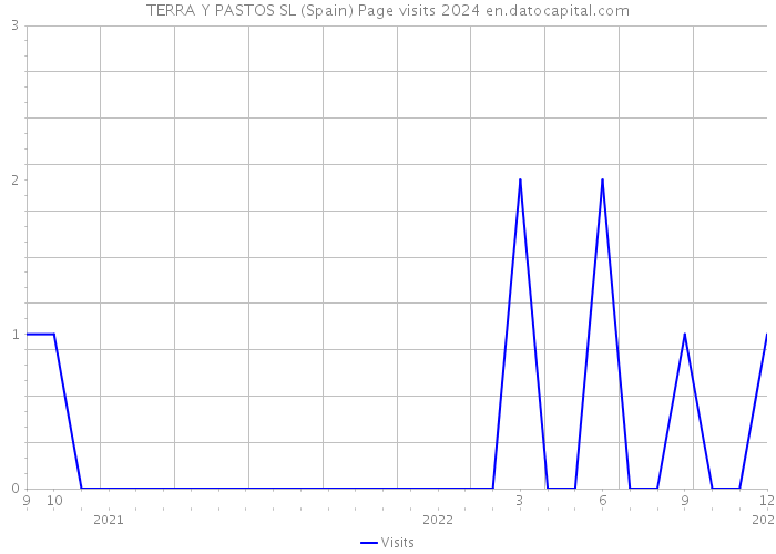 TERRA Y PASTOS SL (Spain) Page visits 2024 