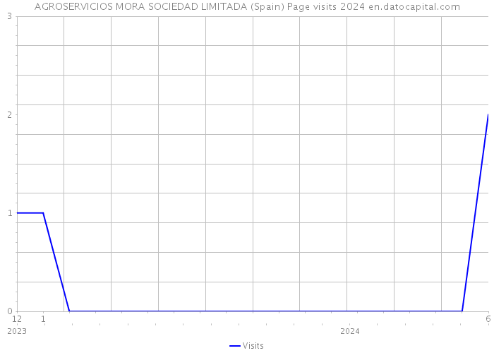 AGROSERVICIOS MORA SOCIEDAD LIMITADA (Spain) Page visits 2024 