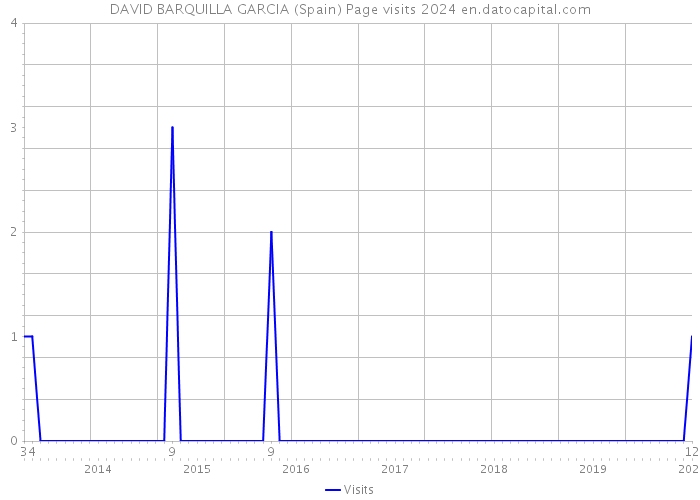 DAVID BARQUILLA GARCIA (Spain) Page visits 2024 