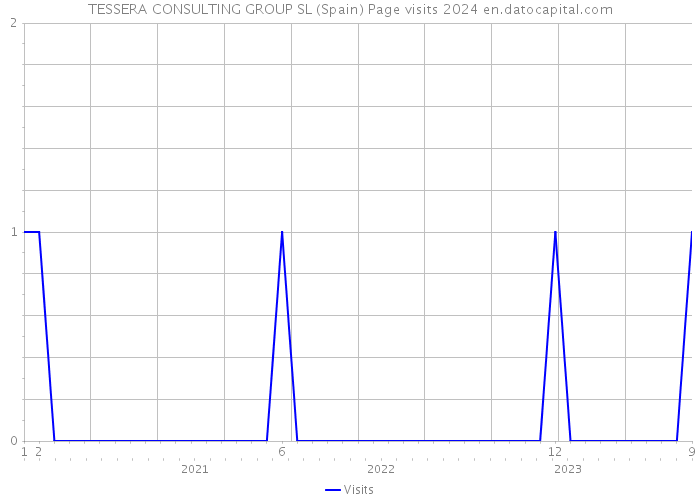 TESSERA CONSULTING GROUP SL (Spain) Page visits 2024 